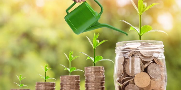 11 Instrumen Investasi Paling Populer di Kalangan Investor