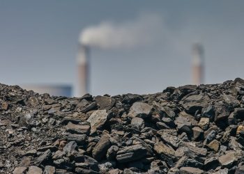 Laba Bersih COAL Turun 31,69% di Kuartal I 2025