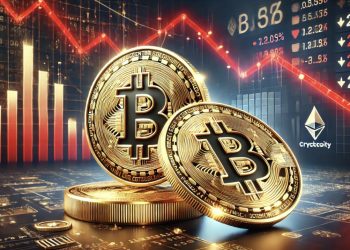 Holder Akumulasi Bitcoin Saat Harga Turun ke Rp1,78 M