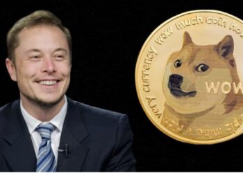 Elon Musk Minta Maaf, Harga Dogecoin Langsung Bergejolak