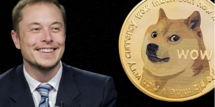 Elon Musk Minta Maaf, Harga Dogecoin Langsung Bergejolak