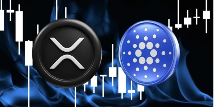 ETF XRP dan ADA Berpeluang Disetujui? Bloomberg Optimis 90%