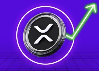 Ripple Bantah Isu Akuisisi Circle Senilai Rp81 Triliun