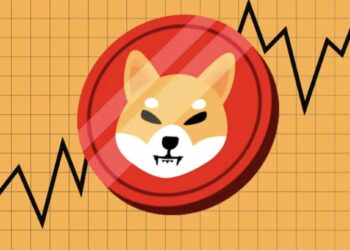 Shiba Inu Berpeluang Rebound, Target Awal di $0,0000114