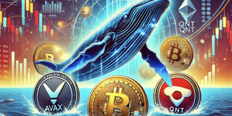 Whale Serok 3 Altcoin Ini, Siap Naik di Juni 2025