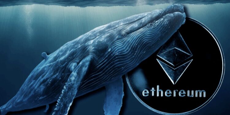 Whale Borong 1,29 Juta ETH, Harga Tembus $2.500