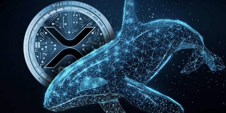 Whale Kirim XRP ke Coinbase, Sinyal Harga Akan Jatuh?