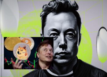 Elon Musk Bikin Partai Baru, Meme Coin Siap Naik