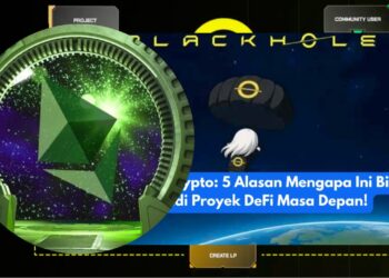 Blackhole Protocol Inovasi DeFi dengan Fitur Keamanan & Staking