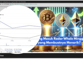 Whale Crypto Borong ETH, PEPE, dan MNT Pekan Ini