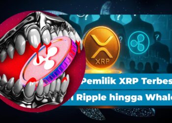 Rich List XRP 2025 Ripple Labs dan Whale Kuasai Pasar