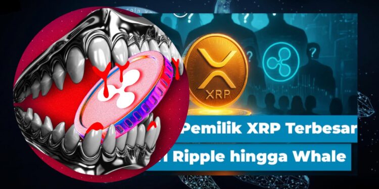 Rich List XRP 2025 Ripple Labs dan Whale Kuasai Pasar