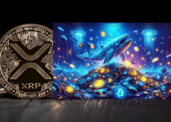 Whale Akumulasi PERP & GRIFFAIN, MNT Justru Didistribusi