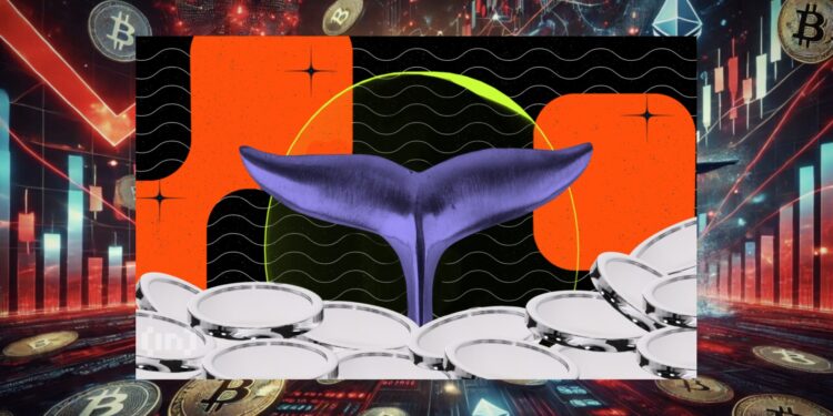 Whale Crypto Rugi Besar Akibat Aksi Jual Panik September