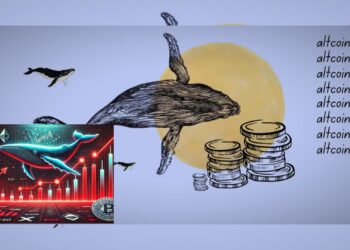 Whale Koleksi 6 Altcoin Menarik Saat Market Anjlok