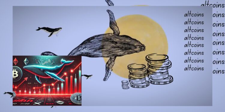 Whale Koleksi 6 Altcoin Menarik Saat Market Anjlok