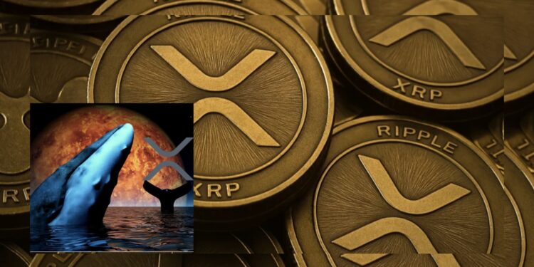 Whale Lepas XRP Besar-Besaran, Tekanan Harga Meningkat