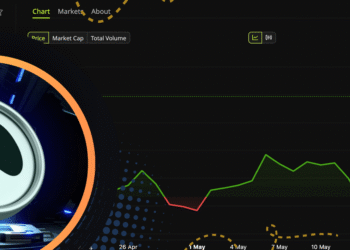 Harga HYPE Naik Tajam, Whale Picu Sinyal Bullish