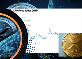 Harga XRP Hari Ini Naik, Whale Mulai Akumulasi