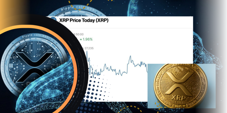 Harga XRP Hari Ini Naik, Whale Mulai Akumulasi