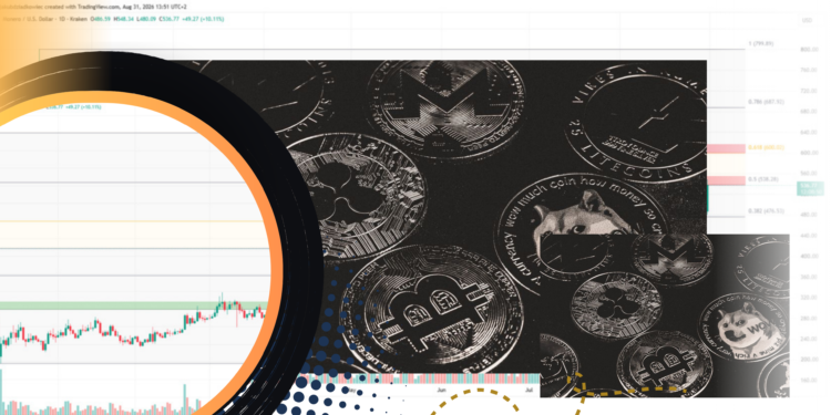 5 Altcoin yang Berpotensi Naik pada September 2026