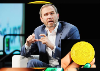 Brad Garlinghouse 5 Kripto Investasi