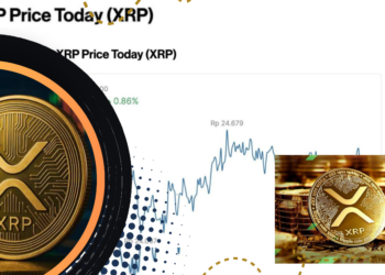 Harga XRP Hari Ini Naik 1,22%, Ini Prospeknya di September