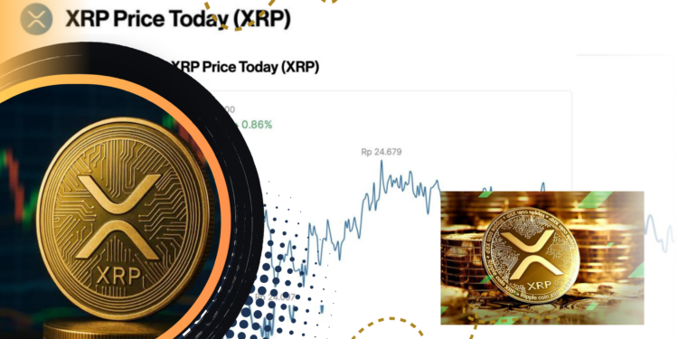 Harga XRP Hari Ini Naik 1,22%, Ini Prospeknya di September
